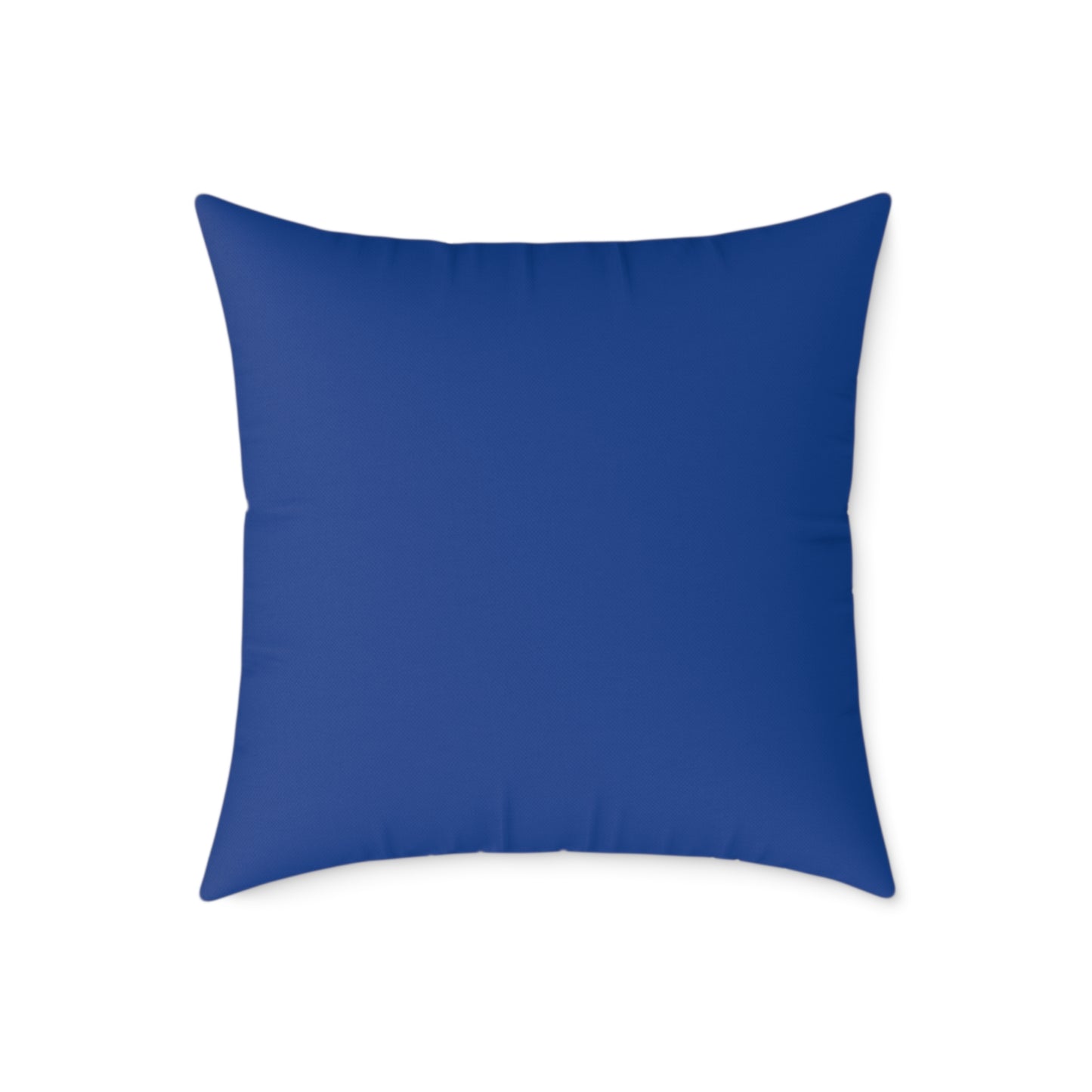 The Church of Saints Vincent and Anastasius at the Three Fountains Historic Print Canvas Pillow